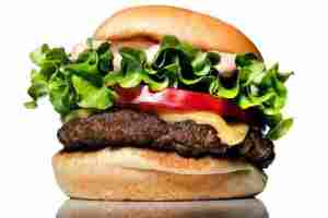 hamburger essay format